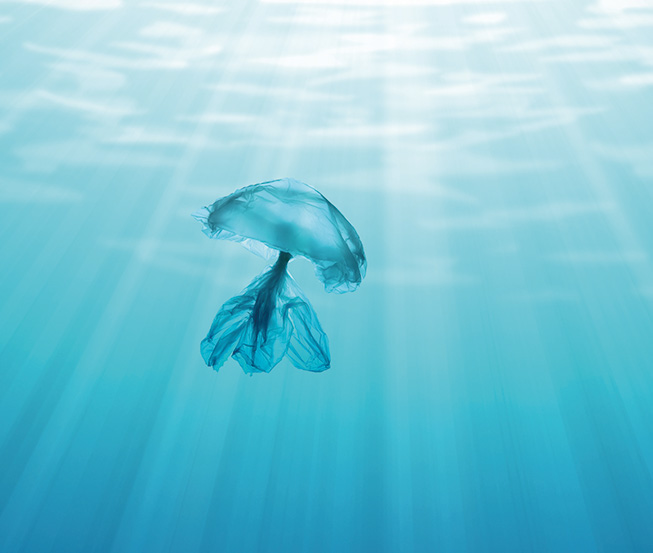 Medusa-hfgroup medusa-hfgroup